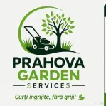 Tund iarba aștept oferte