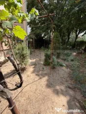 Apartament 2 camere decomandat, parter, Calea Bucuresti, zon 