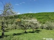 Teren 680mp Budeasa Mica, AG 
