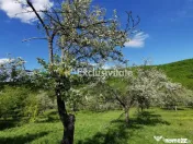 Teren 680mp Budeasa Mica, AG 