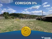 Teren 4000 mp intravilan loc. Aninoasa, jud Arges. Comisi...