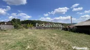 Teren 4000 mp intravilan loc. Aninoasa, jud Arges. Comisi...