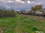 Teren Topoloveni - 3670 mp - langa padure, aproape de Cen...