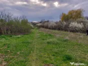 Teren Topoloveni - 3670 mp - langa padure, aproape de Cen... 