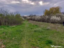 Teren Topoloveni - 3670 mp - langa padure, aproape de Cen...