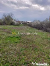 Teren Topoloveni - 3670 mp - langa padure, aproape de Cen... 