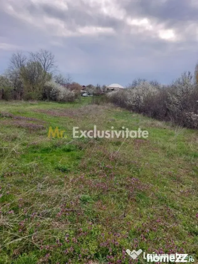 Teren Topoloveni - 3670 mp - langa padure, aproape de Cen...