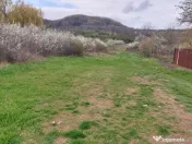 Teren Topoloveni - 3670 mp - langa padure, aproape de Cen... 