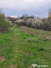 Teren Topoloveni - 3670 mp - langa padure, aproape de Cen... 