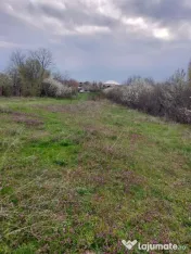 Teren Topoloveni - 3670 mp - langa padure, aproape de Cen... 