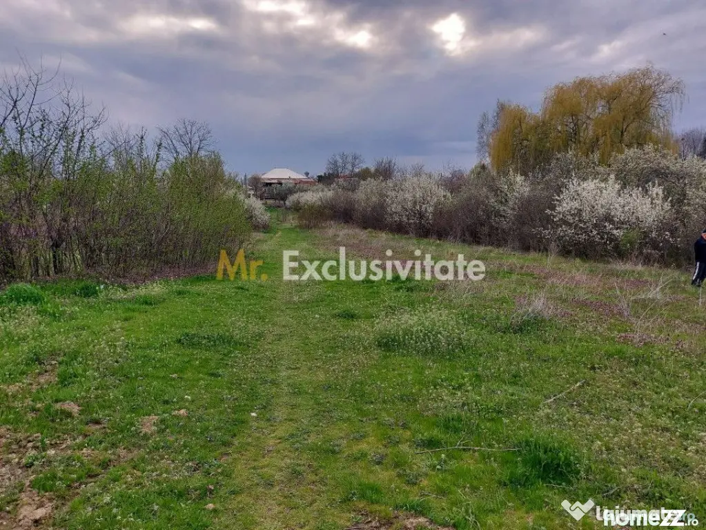 Teren Topoloveni - 3670 mp - langa padure, aproape de Cen...