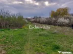 Teren Topoloveni - 3670 mp - langa padure, aproape de Cen...