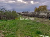 Teren Topoloveni - 3670 mp - langa padure, aproape de Cen... 