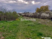 Teren Topoloveni - 3670 mp - langa padure, aproape de Cen...