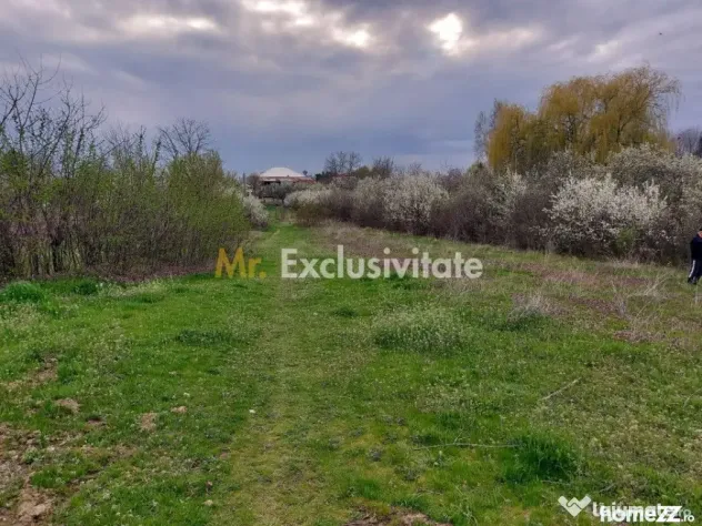 Teren Topoloveni - 3670 mp - langa padure, aproape de Cen...