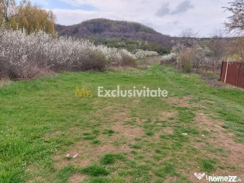 Teren Topoloveni - 3670 mp - langa padure, aproape de Cen...