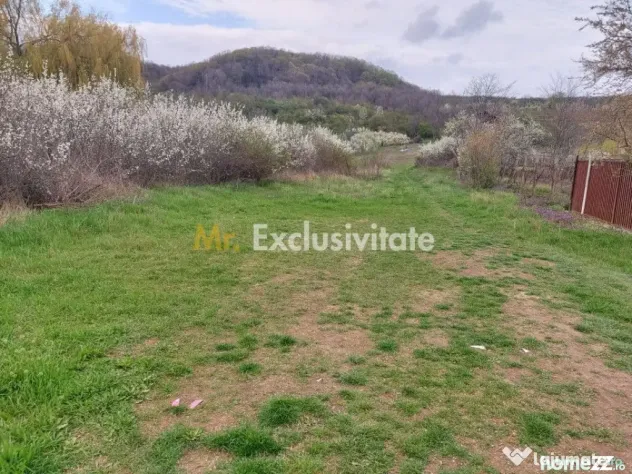 Teren Topoloveni - 3670 mp - langa padure, aproape de Cen...