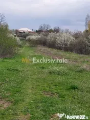 Teren Topoloveni - 3670 mp - langa padure, aproape de Cen... 