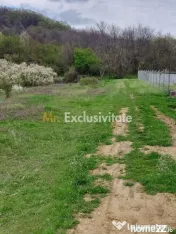 Teren Topoloveni - 3670 mp - langa padure, aproape de Cen... 