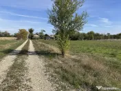 Teren intravilan 3700 mp la 28 km de Pitesti - zona linis... 