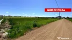 Teren de vânzare în Comuna Bradu -central– Strada Fra...