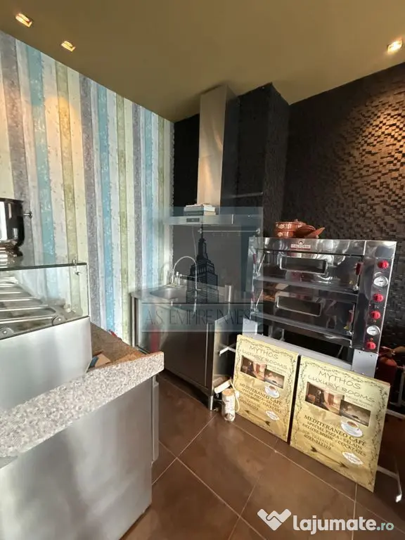 Villa de LUX - Comercial / Rezidential - zona Cioplea/Pre...