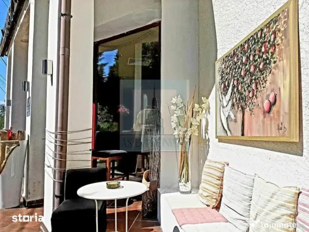 Villa de LUX - Comercial / Rezidential - zona Cioplea/Pre...