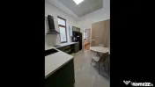 Vila superba strada Plantelor 