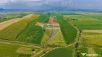 Parcele teren intravilan 563 si 606 mp Bod- 2 proiecte di...