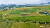 Parcele teren intravilan 563 si 606 mp Bod- 2 proiecte di... 