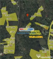 Teren intravilan 8700 m2 Valea Lunga jud Dambovita 