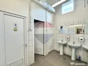Spațiu comercial cu vizibilitate | 460 mp | Bd Ion Mihal...