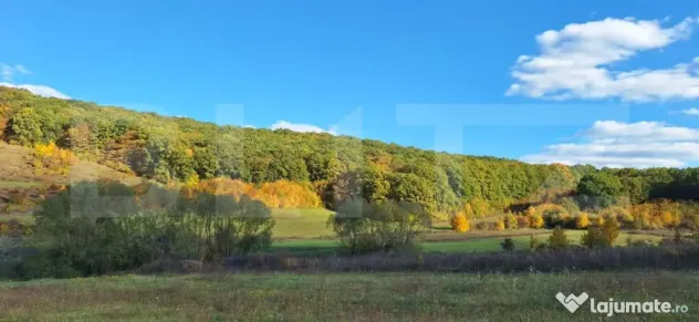 Teren intravilan de vânzare în Bozeni – 1.500 m² | Idea