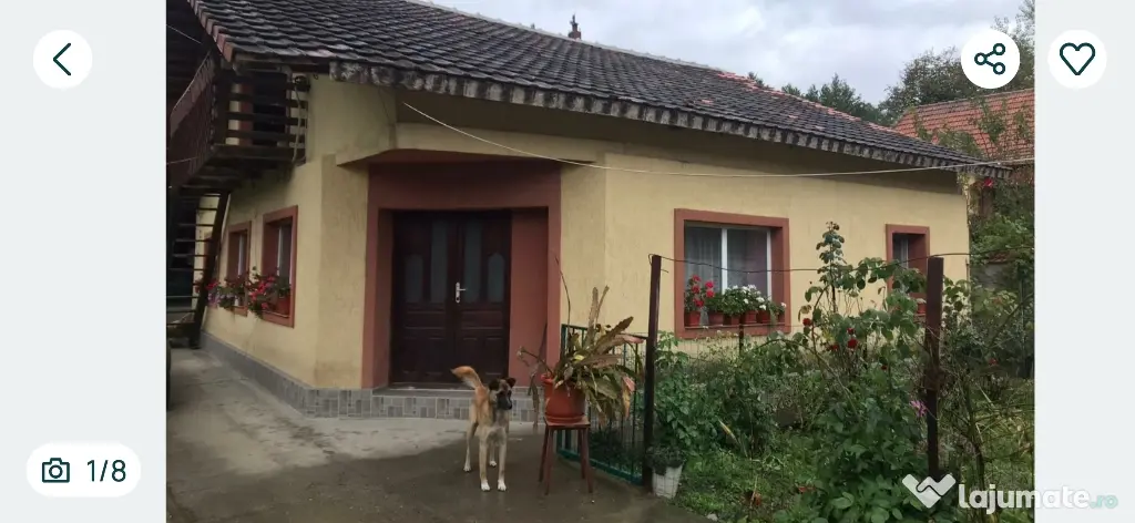 Vând casa situată în zona pitoreasca de munte