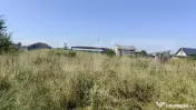 Teren intravilan de 513 mp în Tărtășești, situat într- 