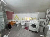 Casa 7 camere cheltuieli mineme