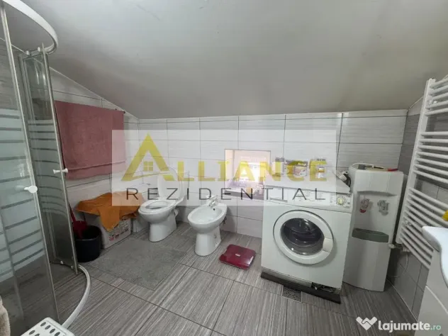 Casa 7 camere cheltuieli mineme