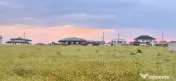 Teren intravilan de vânzare – Cârcea, zona Metro, 600mp