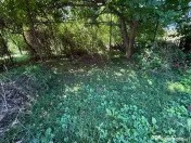 Vanzare teren intravilan 1018 mp sau Gageni - Paulesti 