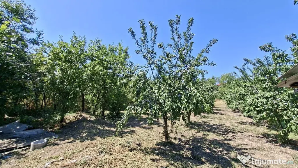 Casa Teiu Deal 84 mp toate conditile mutare imediata