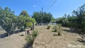 Casa Teiu Deal 84 mp toate conditile mutare imediata