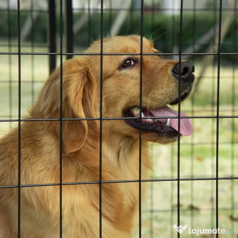 Tarc pentru Caini PawHut din Otel Pliabil cu Acoperis, Tarc pentru Animale cu 8 Panouri cu Usa Blocabila, 141x141x113cm, Negru