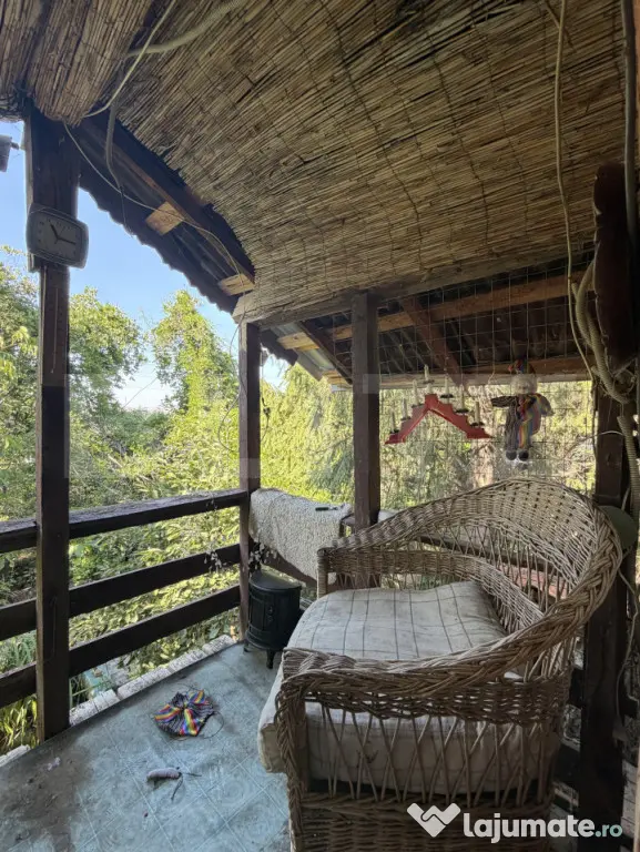 Casa P+M, 777 mp teren, Breasta