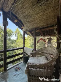 Casa P+M, 777 mp teren, Breasta