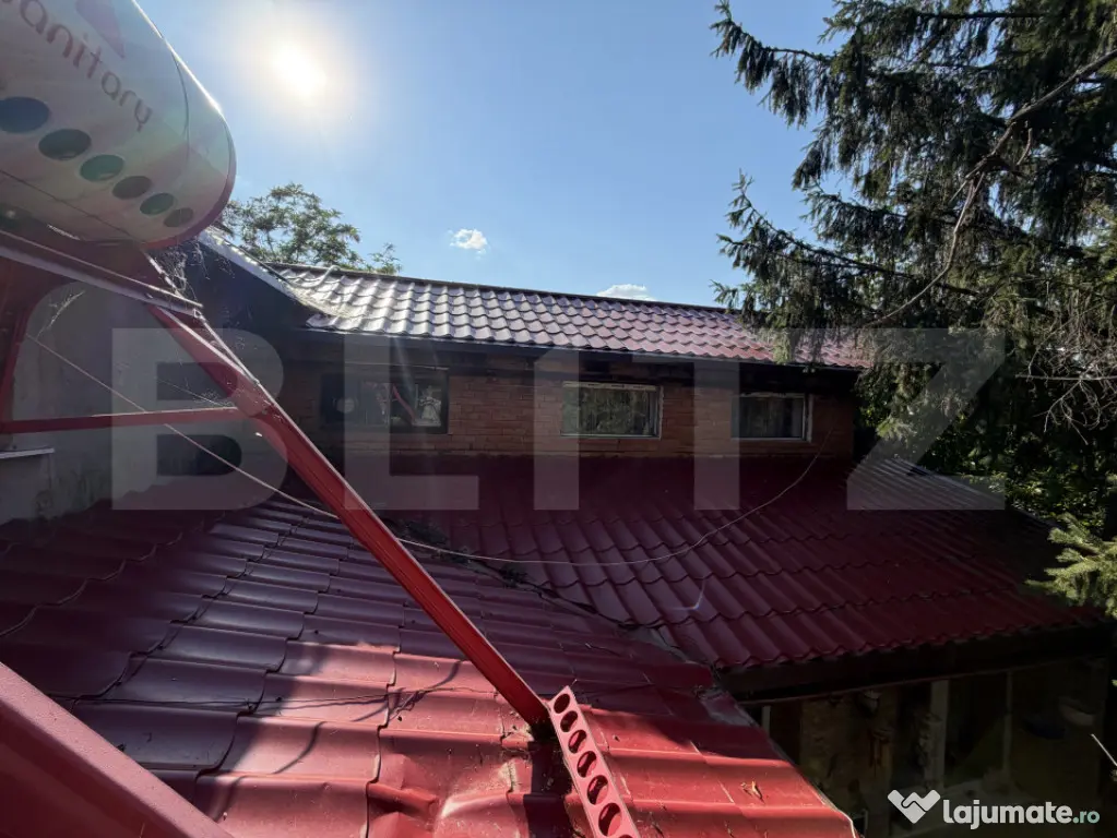 Casa P+M, 777 mp teren, Breasta