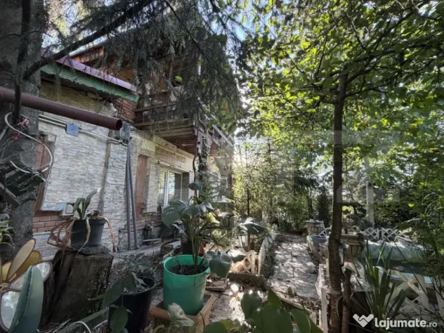 Casa P+M, 777 mp teren, Breasta
