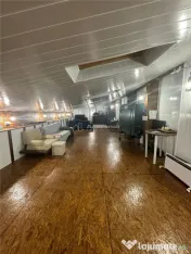 Vila interbelica, elegant renovata (2024), Garaj propriu, Mo