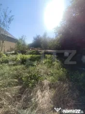 TEREN INTRAVILAN DE VANZARE - LUNCA MURESULUI 700 MP 