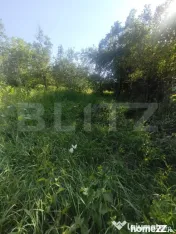 TEREN INTRAVILAN DE VANZARE - LUNCA MURESULUI 700 MP 