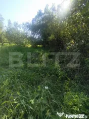 TEREN INTRAVILAN DE VANZARE - LUNCA MURESULUI 700 MP 